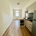 Pronajměte si 2 ložnic/e byt o rozloze 46 m² v Pilsen