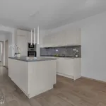 Rent 3 bedroom apartment of 79 m² in Staré Město