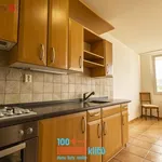 Rent 3 bedroom apartment of 70 m² in Praha