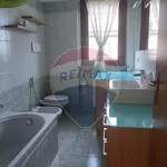 Rent 3 bedroom apartment of 80 m² in Busto Arsizio