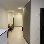 Rent 5 bedroom apartment in Milan