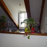 Rent 4 bedroom apartment of 110 m² in Torino