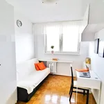 Rent 2 bedroom apartment of 52 m² in Wrocław