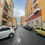 Rent 2 bedroom house of 70 m² in Rome