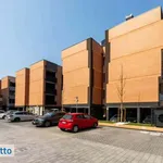 Rent 3 bedroom apartment of 85 m² in Bologna