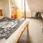 Rent 5 bedroom apartment in East Midlands