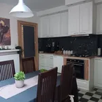 Rent 1 bedroom apartment in Antwerpen