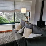 Rent 2 bedroom house of 100 m² in São Vicente Ferreira