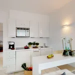 Rent 2 bedroom apartment of 527 m² in Zurich