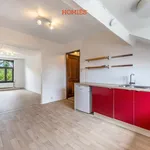 Rent 1 bedroom apartment in Leuven