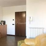 Rent 2 bedroom apartment of 55 m² in Pomezia