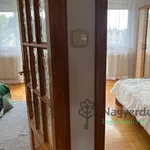 Rent 4 bedroom apartment of 82 m² in Debrecen