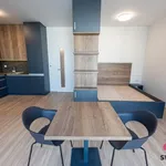 Pronajměte si 1 ložnic/e byt o rozloze 45 m² v Prague