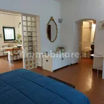 Rent 1 bedroom apartment of 55 m² in Florence