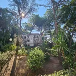 Rent 4 bedroom apartment of 150 m² in Sanremo