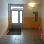 Rent 1 bedroom apartment of 39 m² in Hartmanice