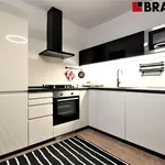 Rent 2 bedroom apartment of 35 m² in Brno