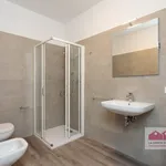 Rent 2 bedroom apartment of 60 m² in Vicenza