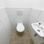 Rent 3 bedroom apartment of 100 m² in Ústí nad Labem