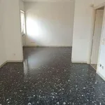 Rent 4 bedroom apartment of 149 m² in Rome