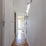 Rent 1 bedroom apartment in Paris