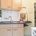 Rent 1 bedroom apartment of 25 m² in Dortmund