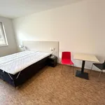 Rent 1 bedroom apartment in Praha 5