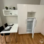 Rent 1 bedroom apartment in Brno