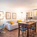 Rent 2 bedroom apartment of 65 m² in pisa