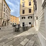 Rent 1 bedroom apartment of 25 m² in Trieste