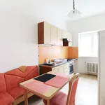 Rent a room of 57 m² in Brno