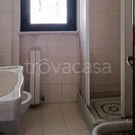 Rent 3 bedroom apartment of 80 m² in Foggia