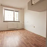 Pronájem bytu 3+1 75m²