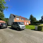 Rent 1 bedroom apartment of 185 m² in Geel