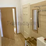 Pronajměte si 1 ložnic/e byt o rozloze 59 m² v Brno