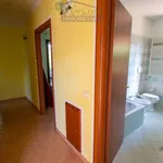 Rent 5 bedroom house of 150 m² in Capalbio