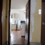 Rent 2 bedroom apartment of 59 m² in Turin