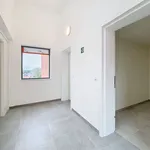 Huur 1 slaapkamer appartement van 67 m² in Ronse - Renaix