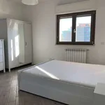 Rent a room of 90 m² in rome