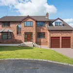 Rent 4 bedroom house in Belfast