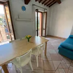 Rent 2 bedroom apartment of 50 m² in Perugia