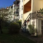 Rent 2 bedroom apartment of 25 m² in Dessau-Roßlau