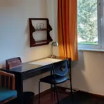 Rent 4 bedroom apartment in Lisbon