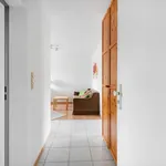 Rent 1 bedroom apartment of 42 m² in Cologne