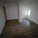 große 2 Zimmer Wohnung mit geräumigen Bad und EBK in Oelsnitz/ Vogtl.