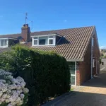 Rent 3 bedroom flat in Brighton