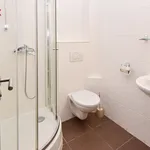 Rent 1 bedroom apartment of 37 m² in Sázava