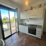 Rent 2 bedroom apartment of 45 m² in Nettuno