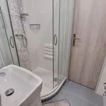 Rent 1 bedroom apartment of 35 m² in Karviná