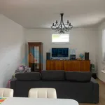 Rent 7 bedroom apartment of 200 m² in Cesena